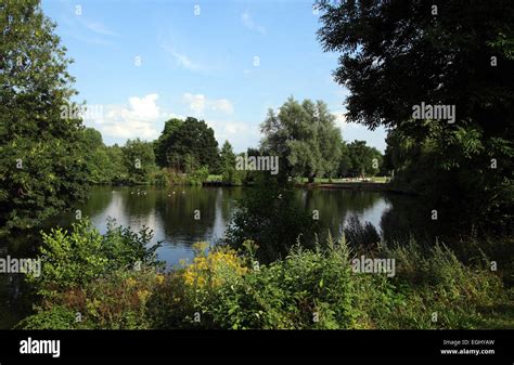 tudor grange park